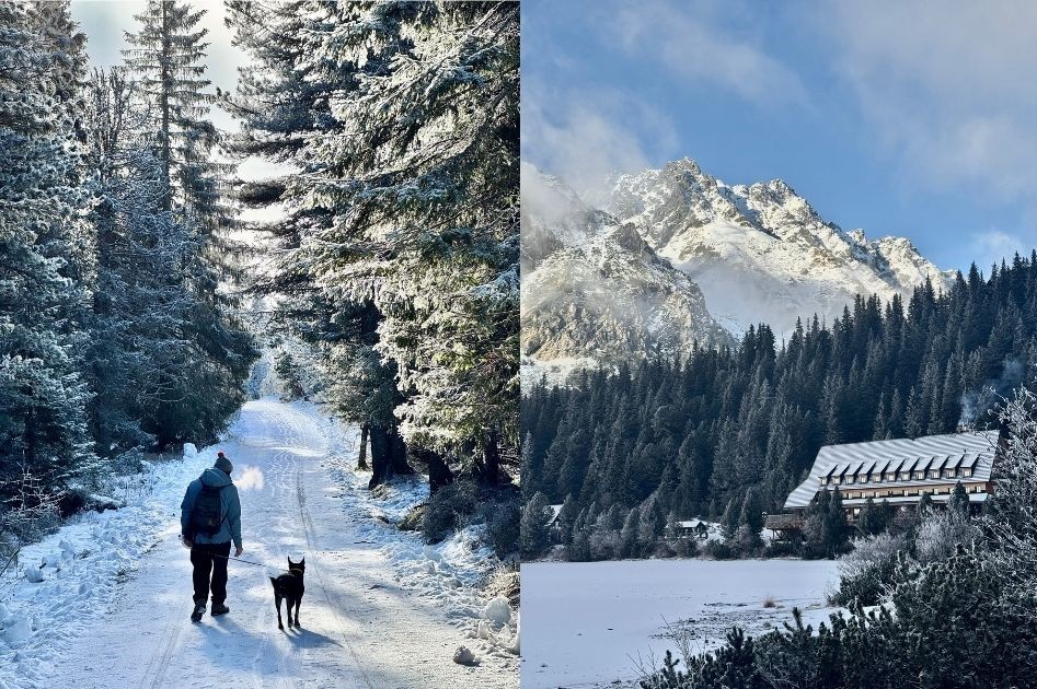 popradske pleso so psom